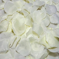 Taloka -  fuksia petals parfyymid with aphrodisiac fragrance