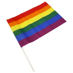 Pride - Lgbt Flag Small Pennant