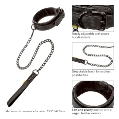 California exotics - boundless kaulapanta ja leash 1