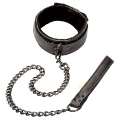 Calex Boundless Collar And Leash