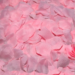 Diablo Picante - 100  Pinkki Petals