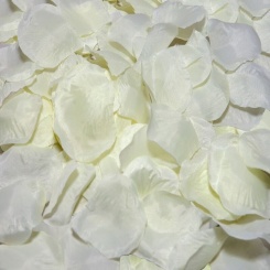 Diablo Picante - 100 Vanilja Petals