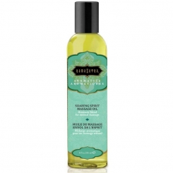 Kamasutra - garden of pleasure hierontaöljy 236ml