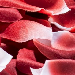 Les Petits Bonbons Ruusunpunainen...