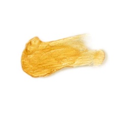 Secretplay - Pretty But Wild Glow Body...