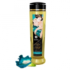 Shunga - sensual erotic hierontaöljy 240 ml