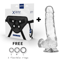 Xray Harness + Clear Cock With Balls ...